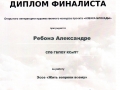 Диплом 12 001