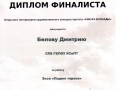 Диплом6 001