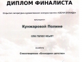 Диплом9 001