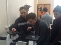 IMG-20190321-WA0002