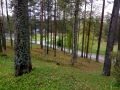IMG_20181004_093527